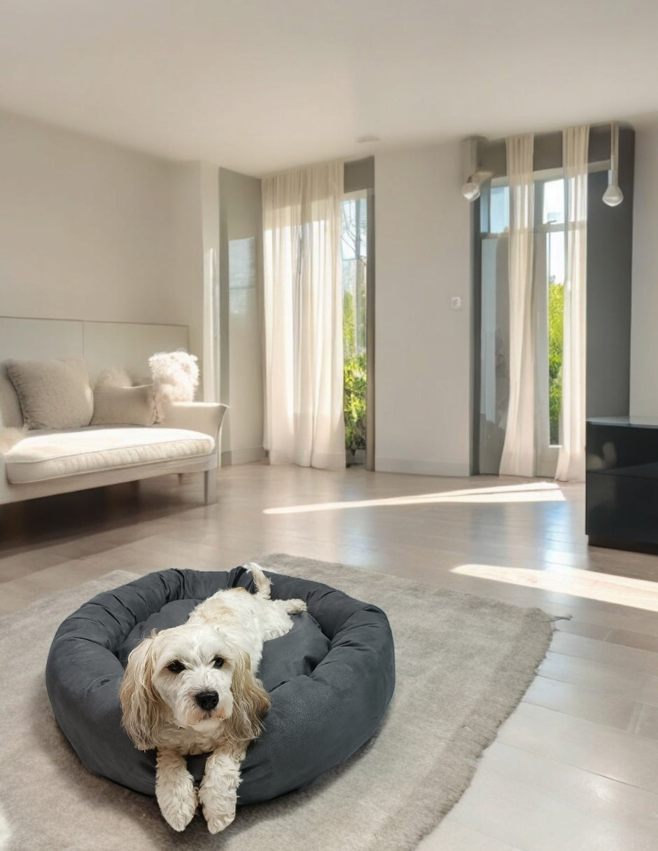 Cama para perro circular aterciopelado, fresca y acogedora.