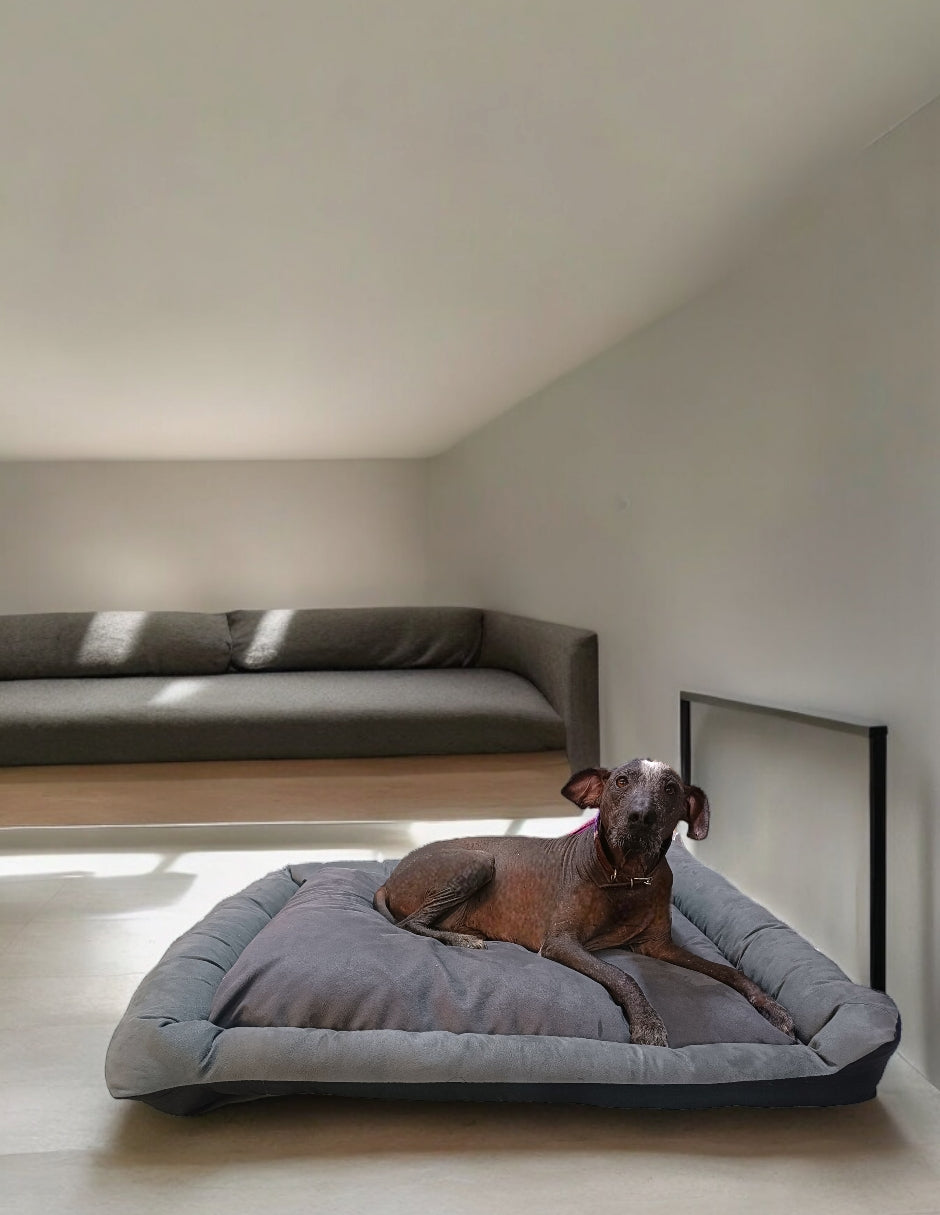 Cama Rectangular Lunics Para Perro Cómoda y Resistente
