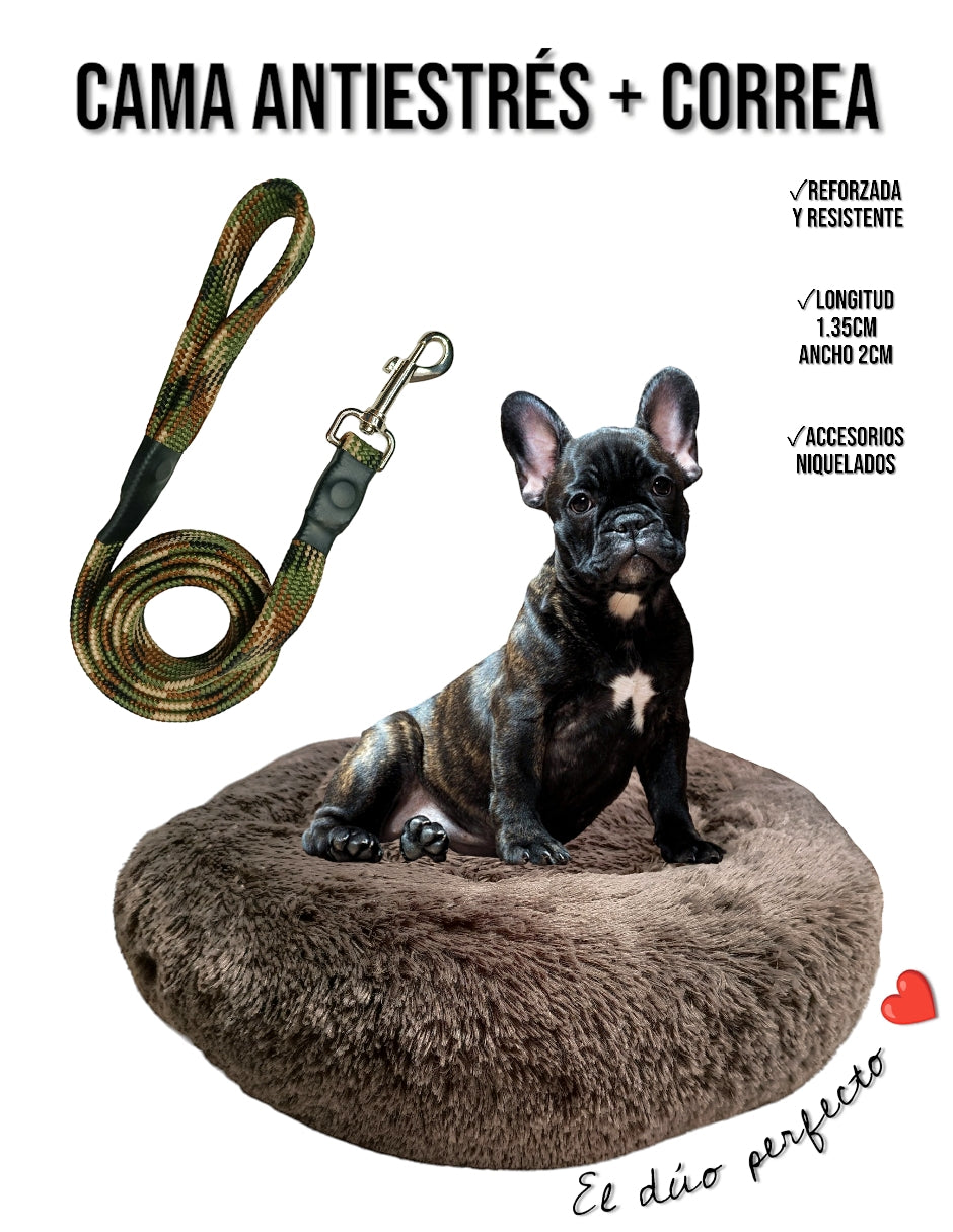 Correa Para Perro Reforzada Y Resistente Lunics®